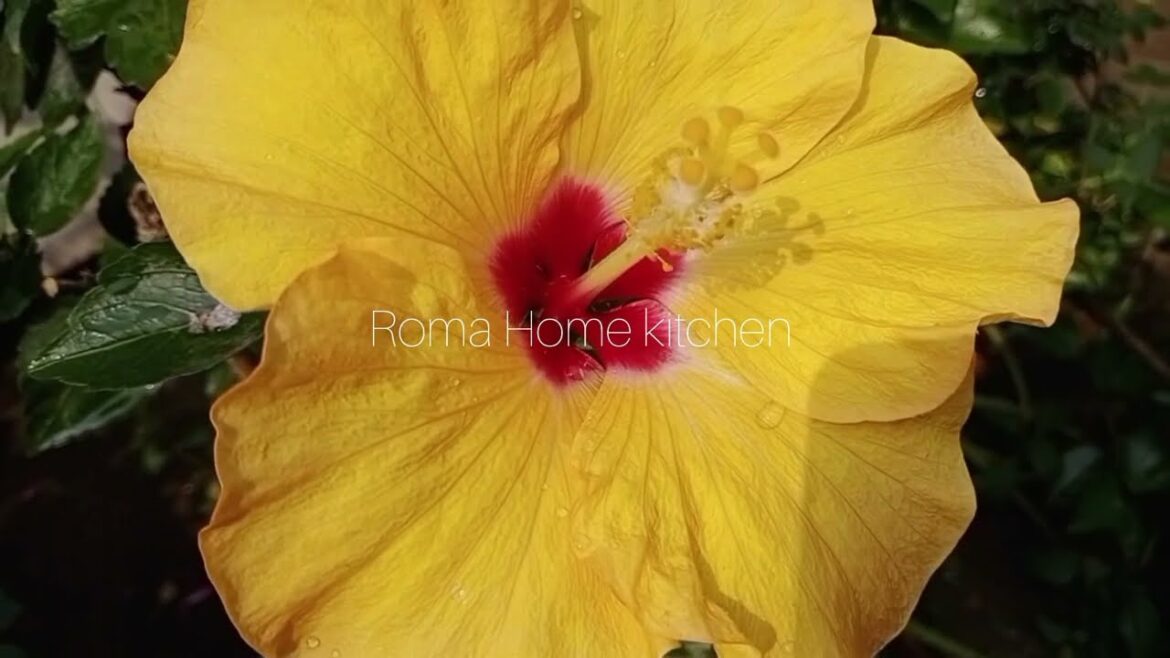 #edible gardening#garden ideas#kitchen garden#fruit trees #edible gardening#garden ideas#kitchen garden#fruit trees