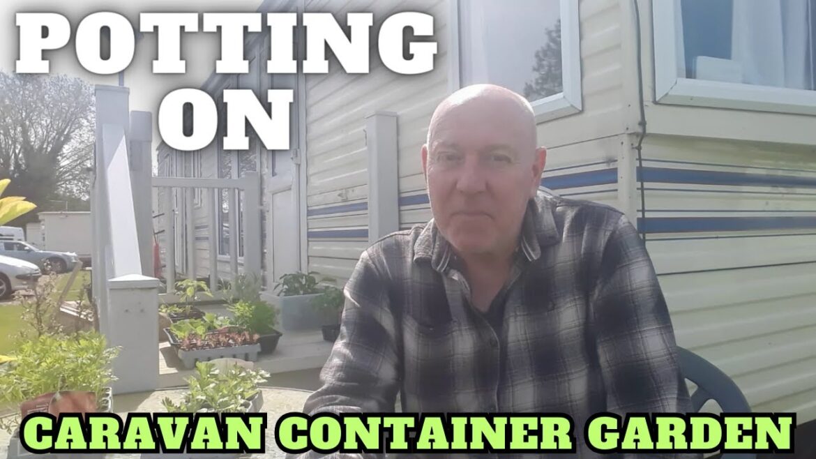 Potting On At The Caravan Container Garden Full Time Caravan Life