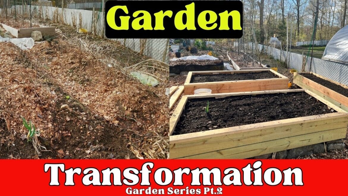 🥬 Garden Setup - Your Guide to Vegetable Gardening in the Backyard! 🌟 - Garden Series Pt.2