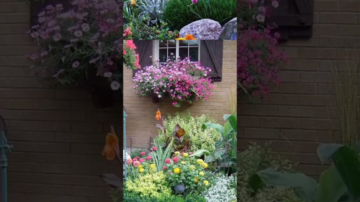 Ideas for small garden design | Small yard landscaping ideas Ideas for small garden design | Small yard landscaping ideas