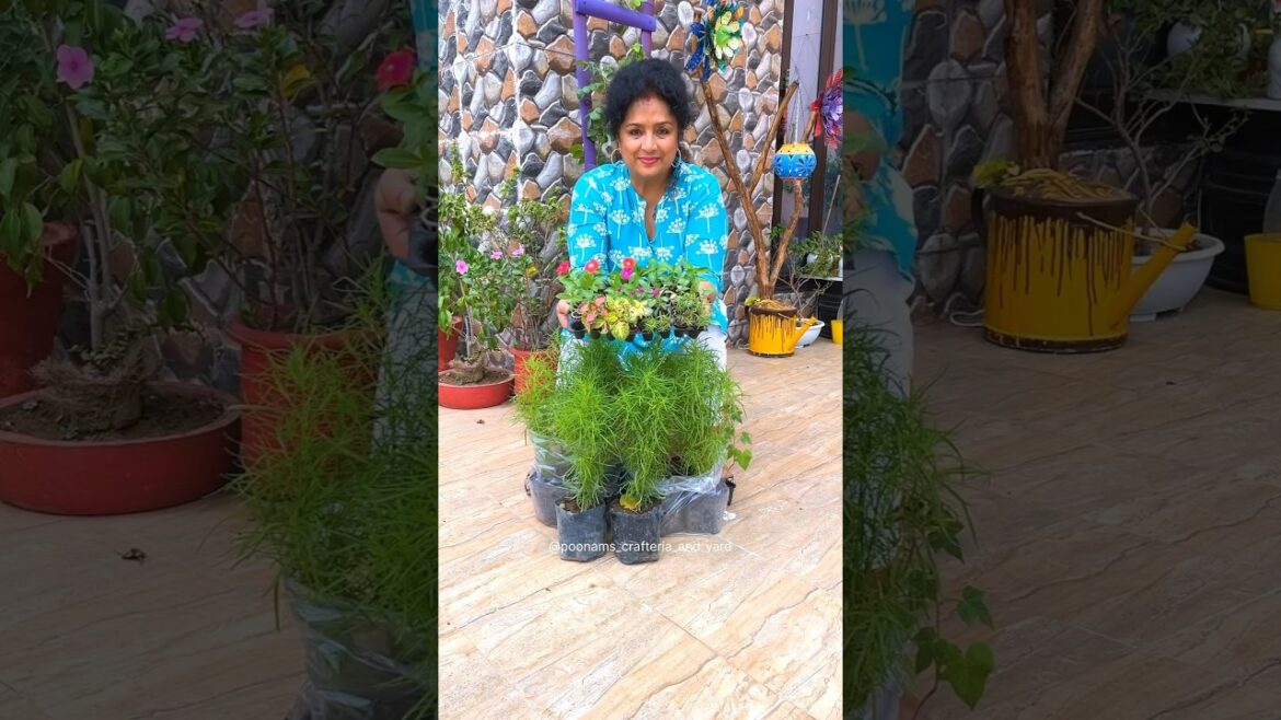 Garden Decoration Ideas | Useful Tips for Soil Preparation  #gardening #reels #ideas #garden