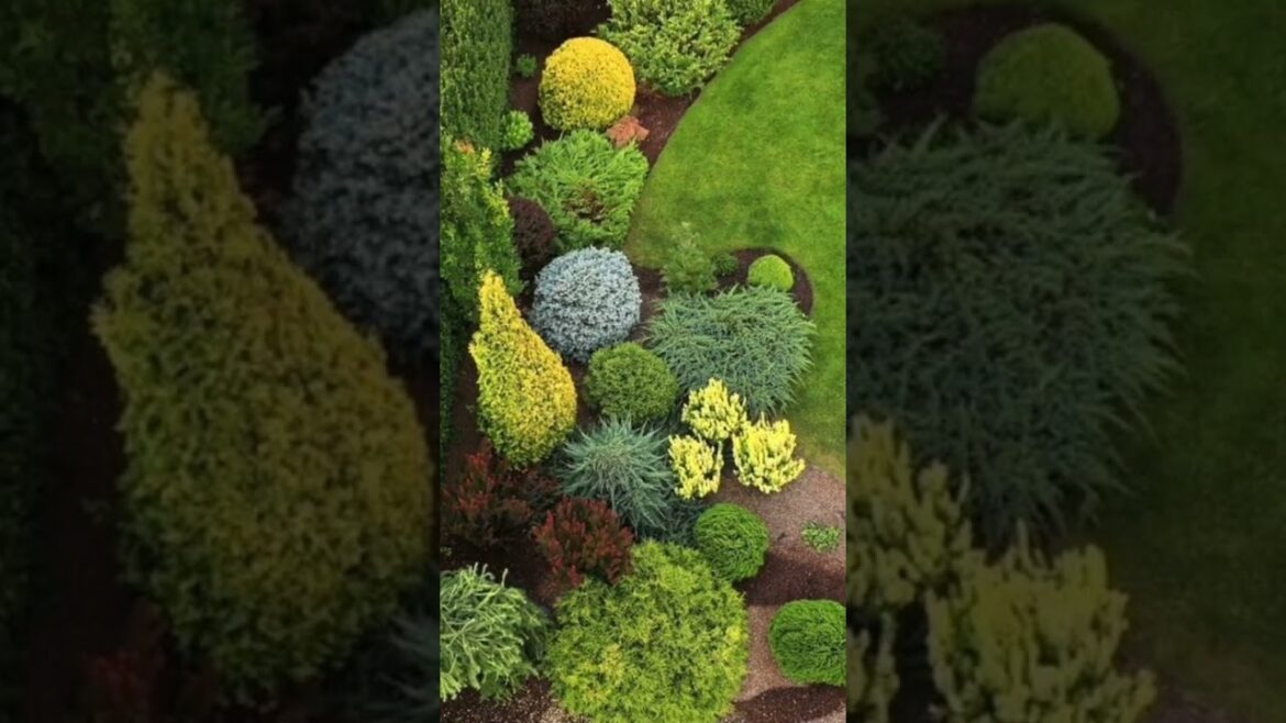 Ideas for small garden design | Small yard landscaping ideas Ideas for small garden design | Small yard landscaping ideas