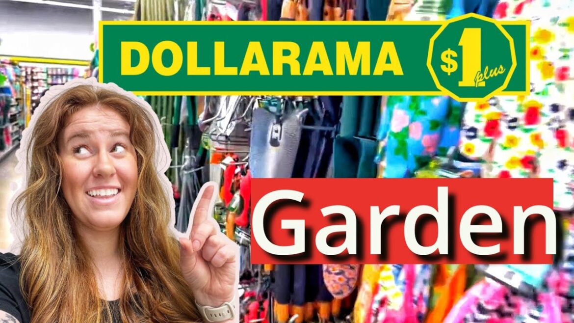 Get THESE Garden Supplies From Dollarama!