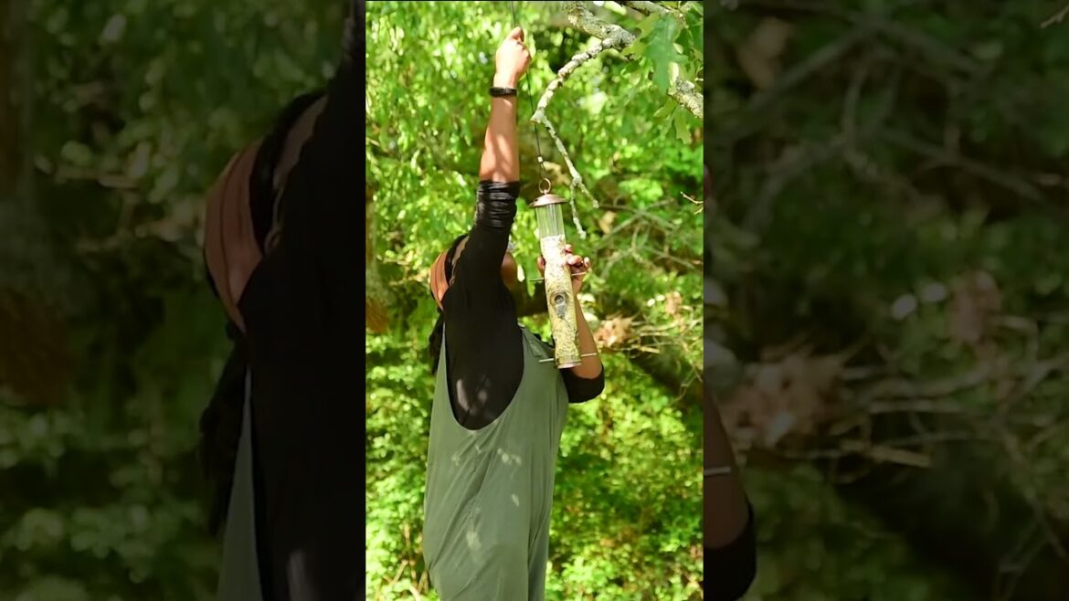 Slow Mornings in the Garden feel me with peace πΏ #garden Slow Mornings in the Garden feel me with peace πΏ #garden