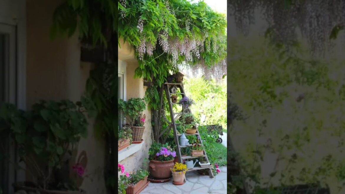 Ideas for small garden design | Small yard landscaping ideas