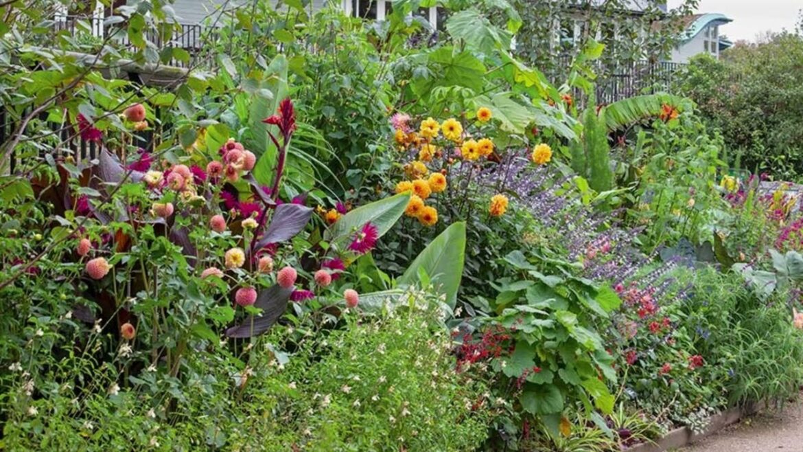 RHS gardens 2024: The Main Borders at Harlow Carr  #chelseaflowershow #gardenideas #rhsgarden