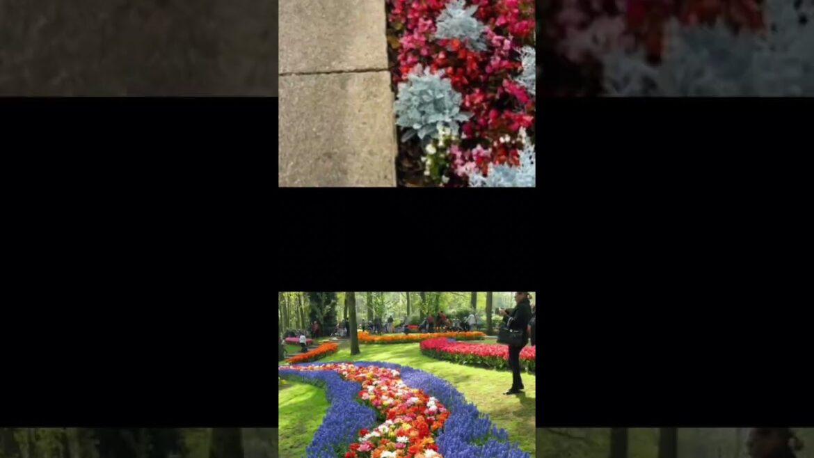 Ideas for small garden design | Small yard landscaping ideas Ideas for small garden design | Small yard landscaping ideas