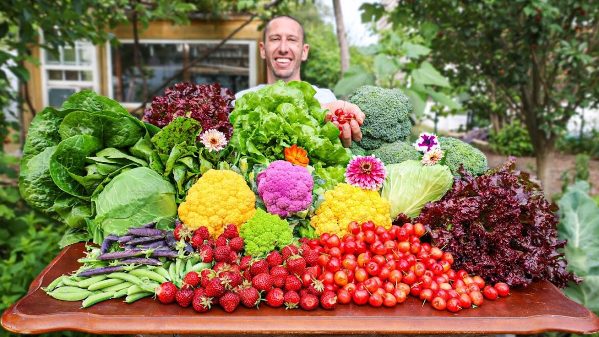 James Prigioni: Incredible Organic Garden Harvest, Here is What I Harvested Today… Incredible Organic Garden Harvest, Here is What I Harvested Today...