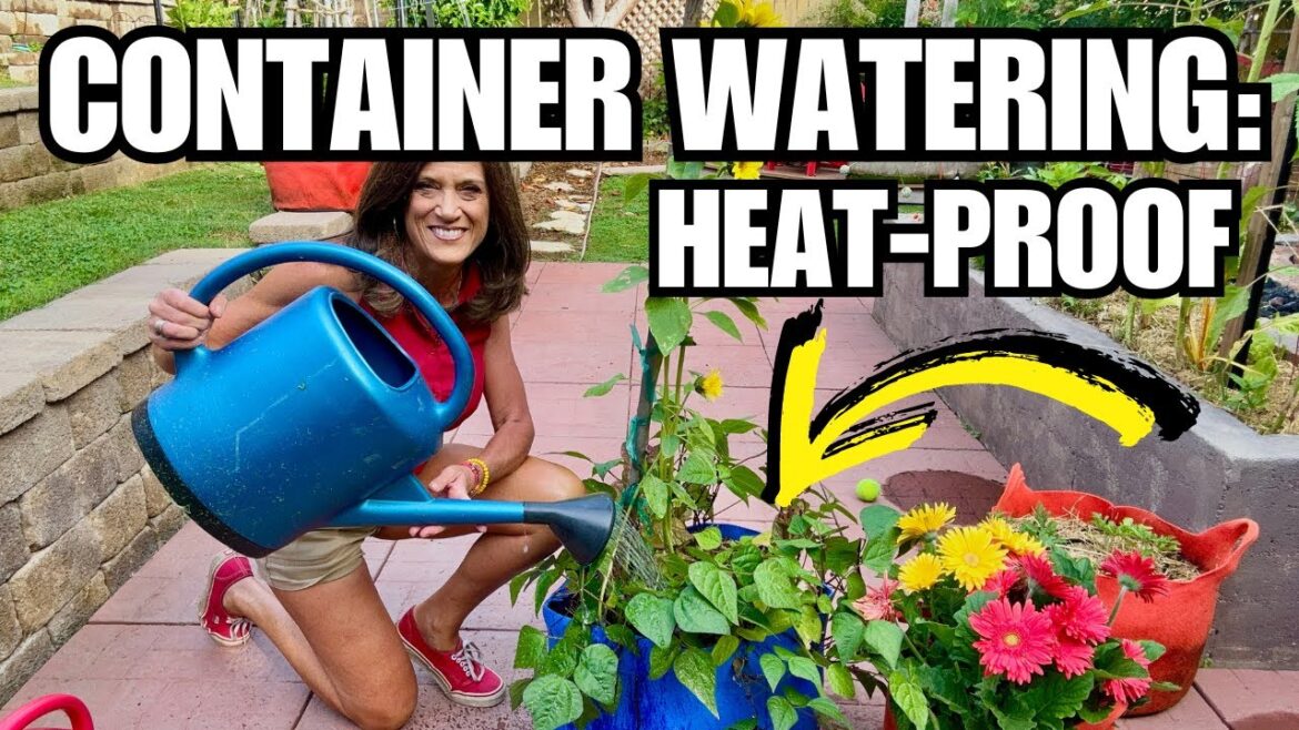 Container Garden Watering: Heat-Proof Your Plants