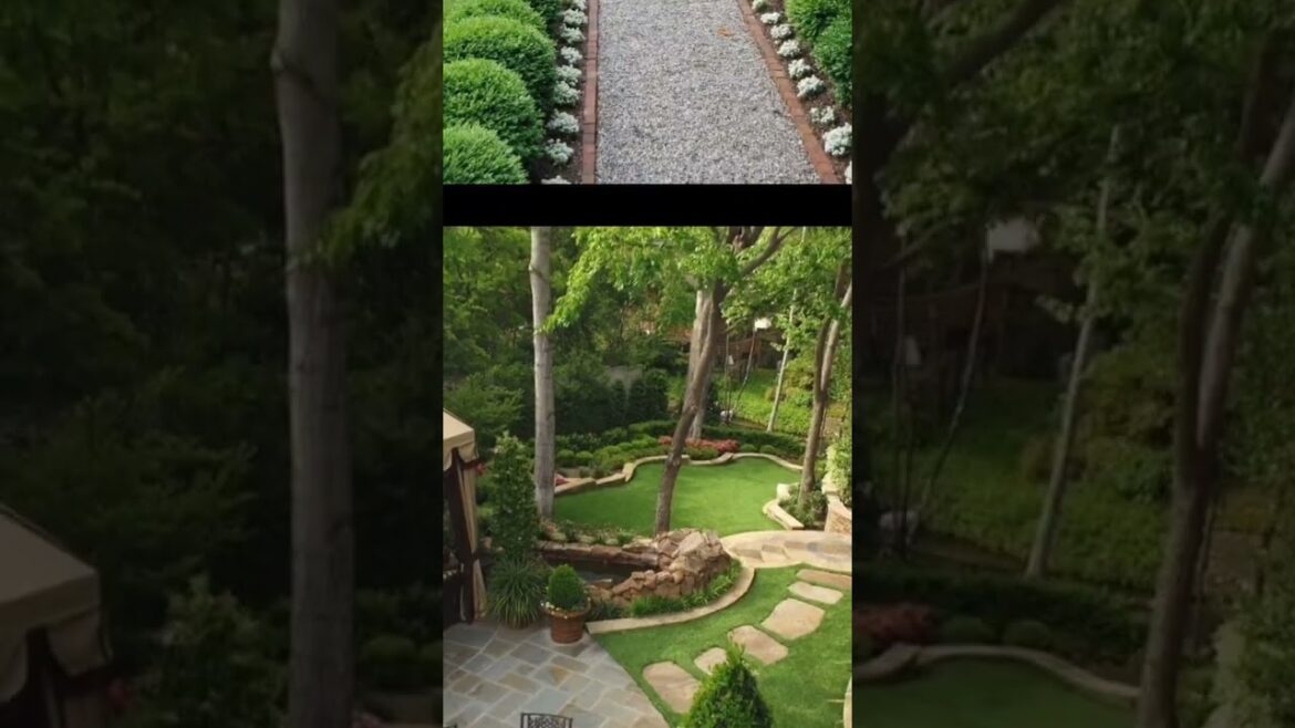 Maintenance landscaping ideas 2024| gardening ideas 2024
