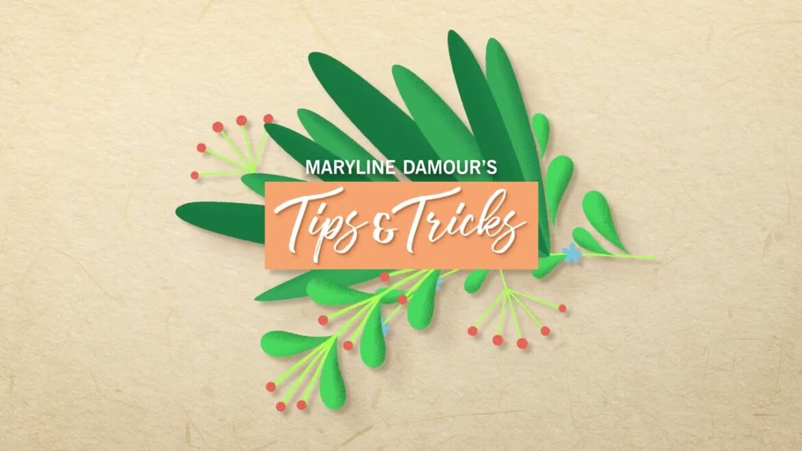 Maryline Damour's Garden Tips | Part 1 | Design Home Game 🏡