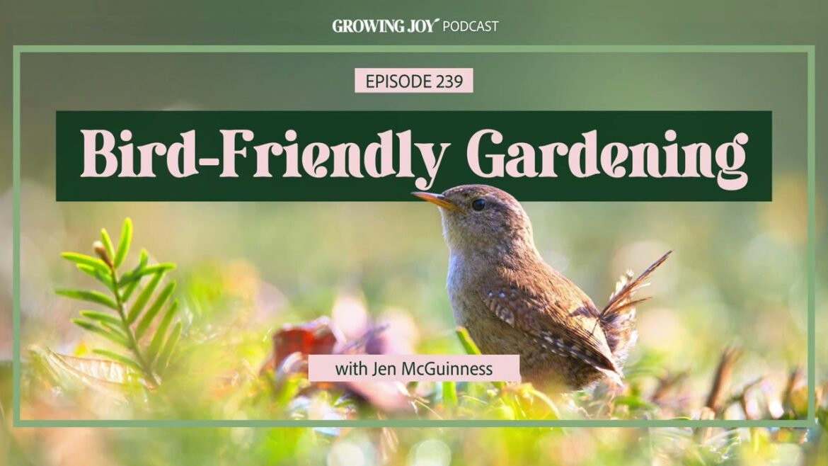 EP 239 Bird Friendly Gardening | Growing Joy with Plants | Podcast