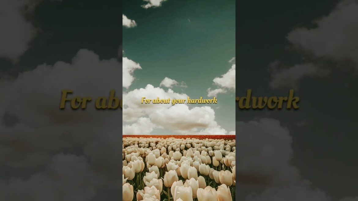 Do you have plans or more?#shorts#garden #nature#islamicmotivation #flowers