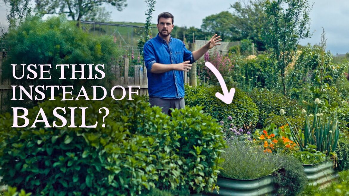 Huw Richards: The Incredible Group Of Crops That Deserve Far More Attention The Incredible Group Of Crops That Deserve Far More Attention