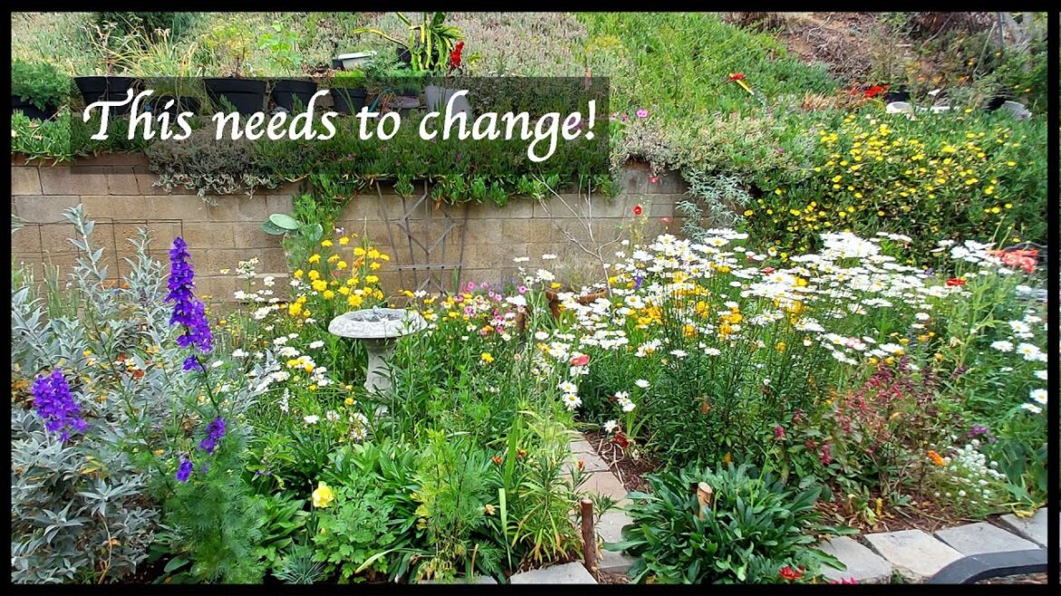 GARDEN TOUR/PLANS AND UPDATES: Today In The Garden