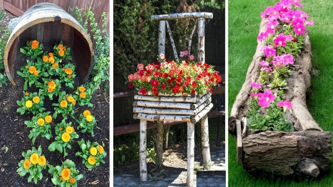 Transform Your Yard with Stunning Flower Garden Ideas| Garden ideas Transform Your Yard with Stunning Flower Garden Ideas| Garden ideas