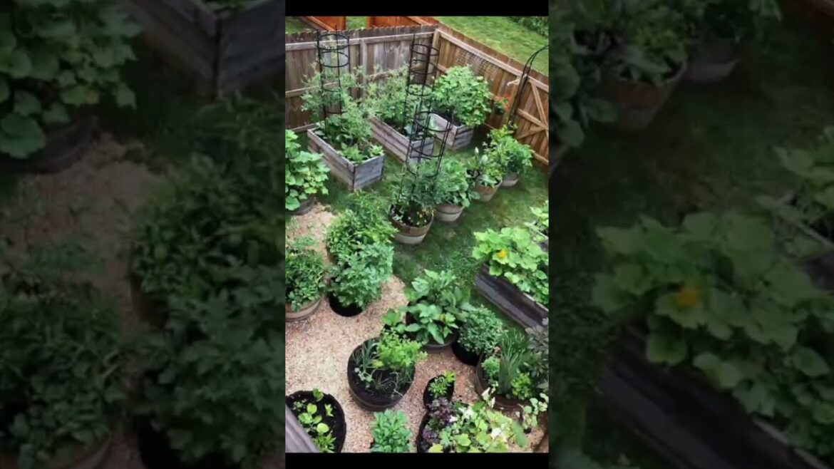 Ideas for small garden design | Small yard landscaping ideas