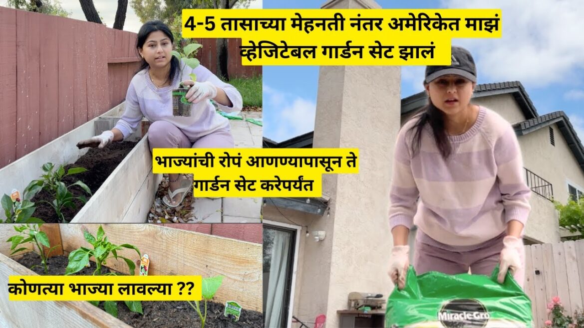 अमेरिकेत माझं व्हेजिटेबल गार्डन | Vegetable Gardening | kitchen garden in America | मराठी vlog अमेरिकेत माझं व्हेजिटेबल गार्डन | Vegetable Gardening | kitchen garden in America | मराठी vlog