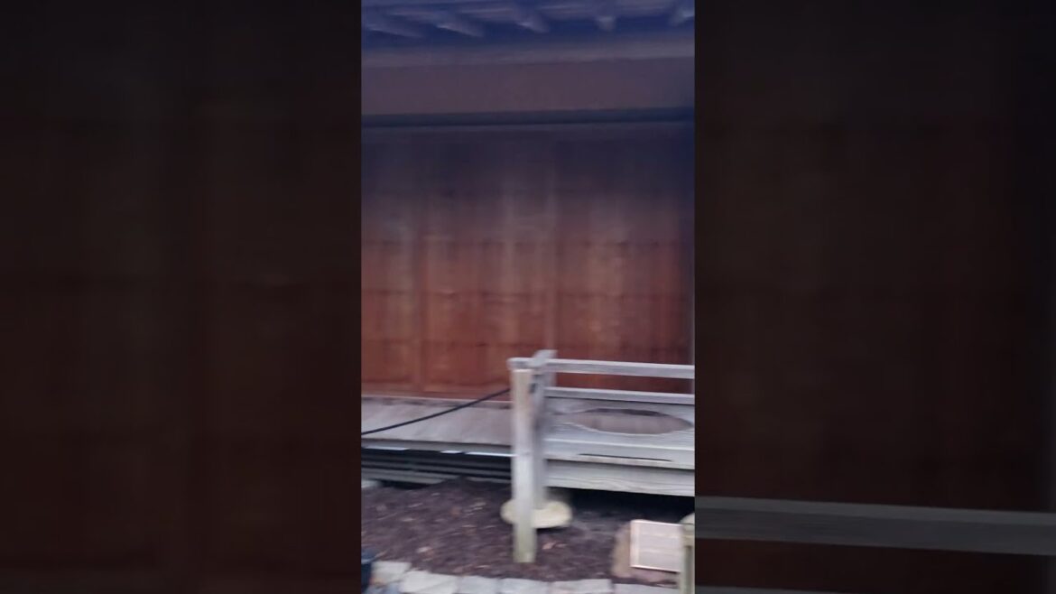 Shoin House at the Japanese Garden, Chicago Botanic Gardens, December 2023 #chicagobotanicgarden Shoin House at the Japanese Garden, Chicago Botanic Gardens, December 2023 #chicagobotanicgarden