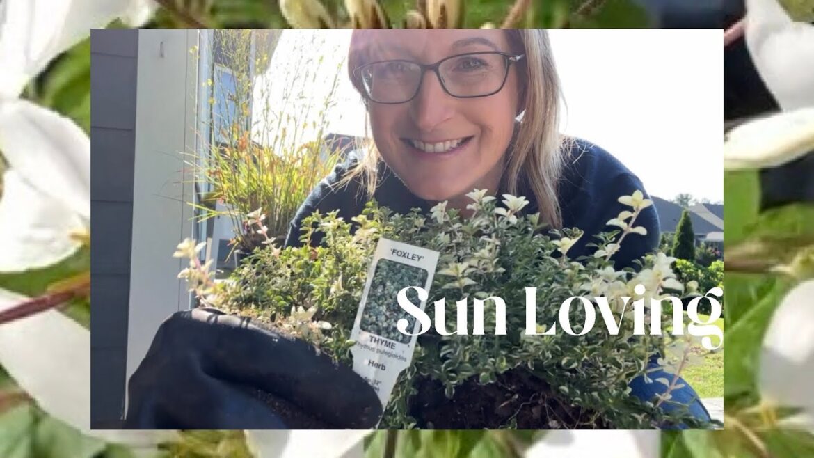 Revamped Container Garden: Mixing Old & New Plants In Full Sun!