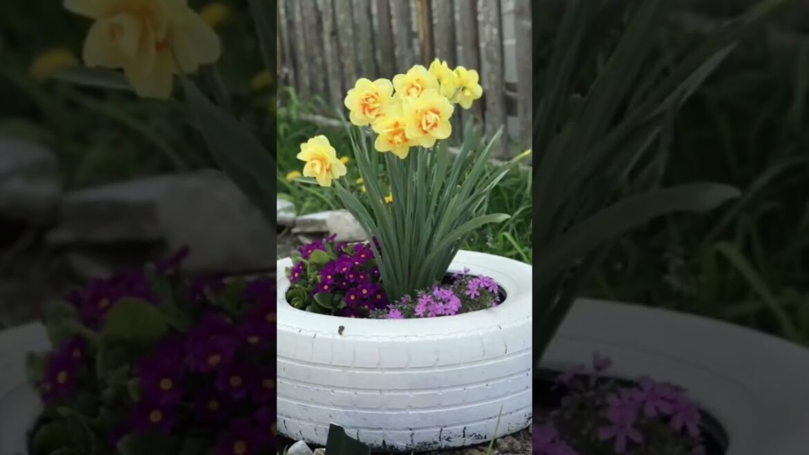 Ideas for small garden design | Small yard landscaping ideas Ideas for small garden design | Small yard landscaping ideas