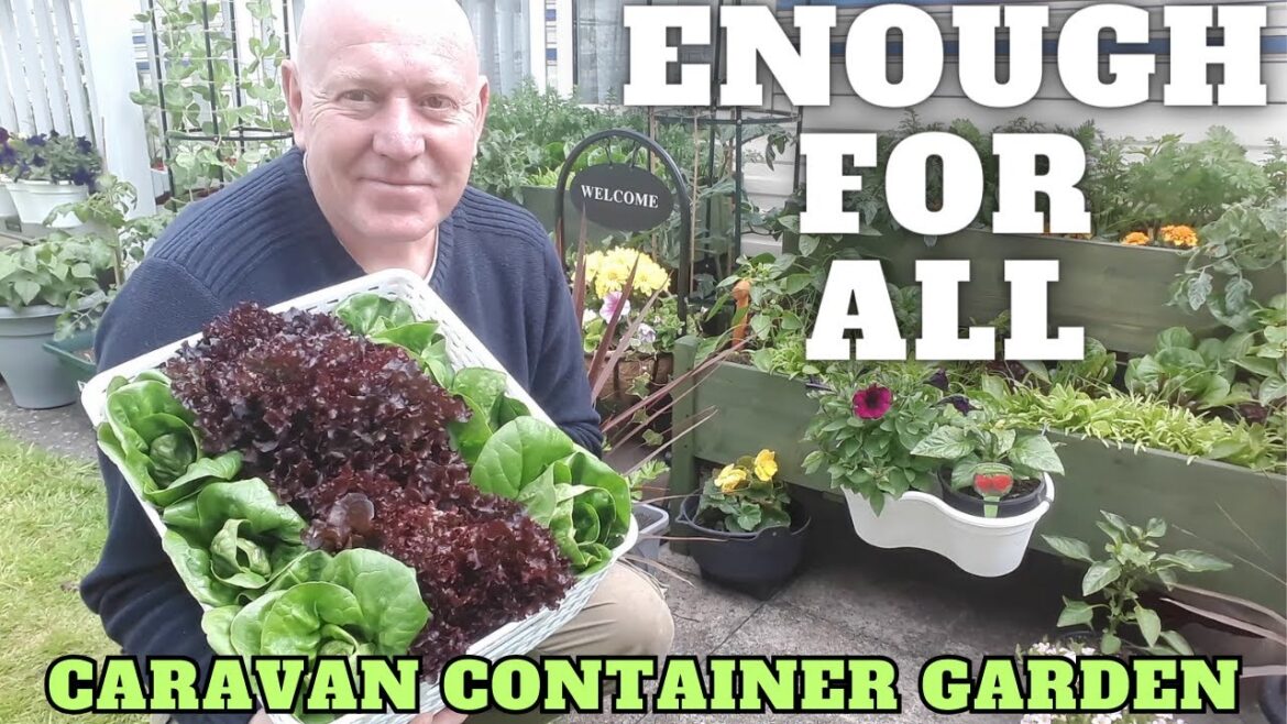 Enough For Everyone From The Caravan Container Garden