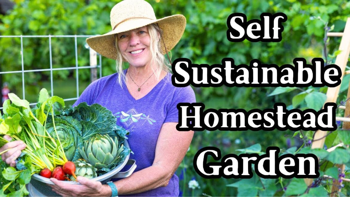 How I Optimize My Homestead Garden for Self Sustainably How I Optimize My Homestead Garden for Self Sustainably