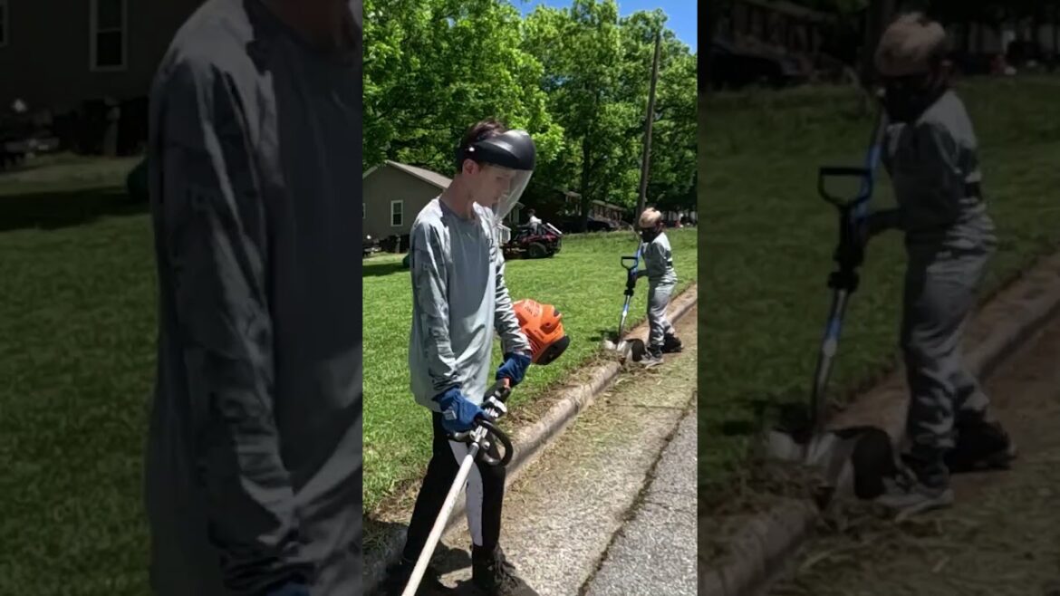 Turning a CITY VIOLATION into the BEST YARD on the BLOCK