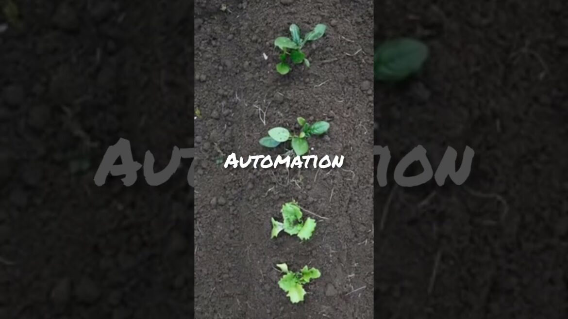 hitech japanese gardening | hitachi garden japan | #moderngarden #agriculturelife