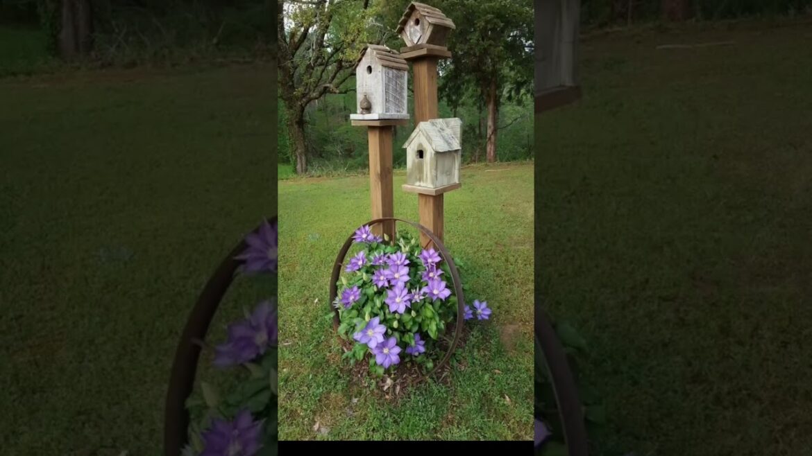 Ideas for small garden design | Small yard landscaping ideas