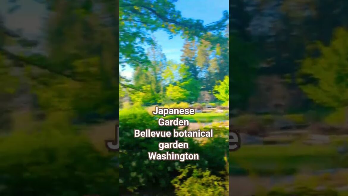 JapaneseGardenBellevue botanical gardenWashington