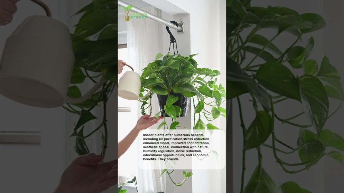 Indoor Gardening tips | #viral #shorts