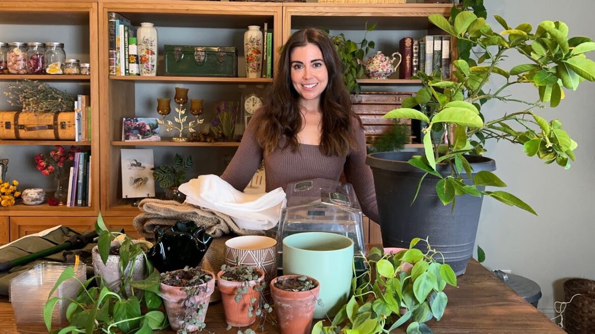 Houseplant & Garden Supply Purge! These Have Got to Go