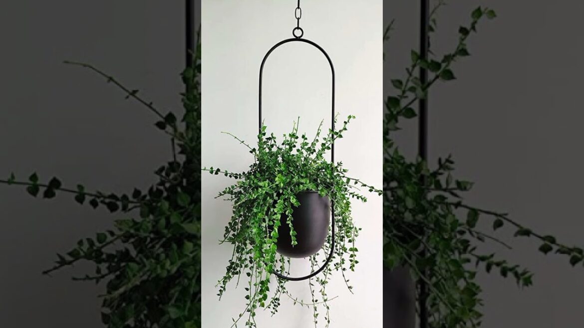 Attractive Hanging planters Elegant Garden design #garden #garden