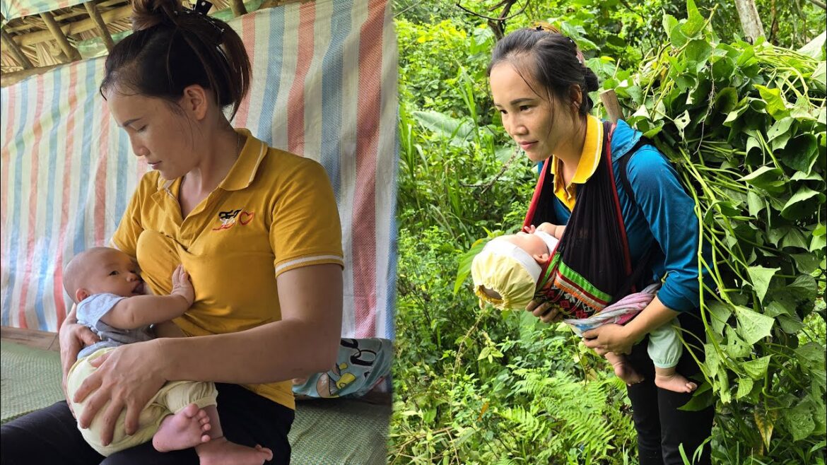 Vegetable gardening, growing vegetables, taking care of pets, taking care of my son. My daily life