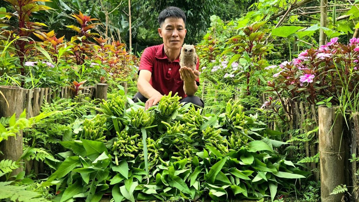 Harvesting Vegetable Garden Go To The Market Sell - Gardening - Taking care of pets | Solo Survival