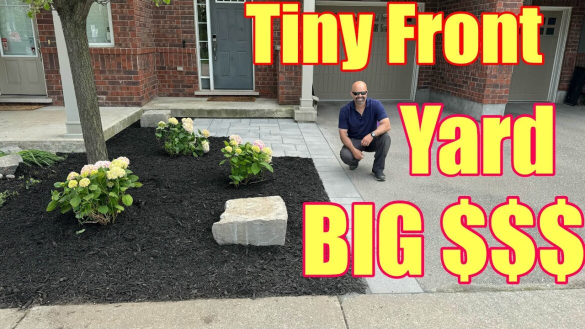 Small Yard Landscaping- New Modern Front Yard