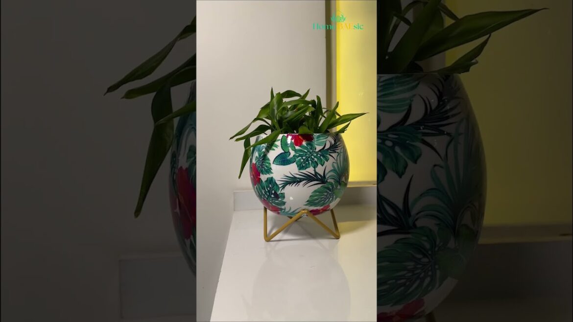 🏡✨ 𝐇𝐨𝐦𝐞 𝐃𝐞𝐜𝐨𝐫 𝐏𝐥𝐚𝐧𝐭𝐞𝐫𝐬 𝐚𝐭 𝐉𝐚𝐰 𝐃𝐫𝐨𝐩𝐩𝐢𝐧𝐠 𝐏𝐫𝐢𝐜𝐞𝐬! 😱 #homebaesic #gardening #homeandgarden #planters