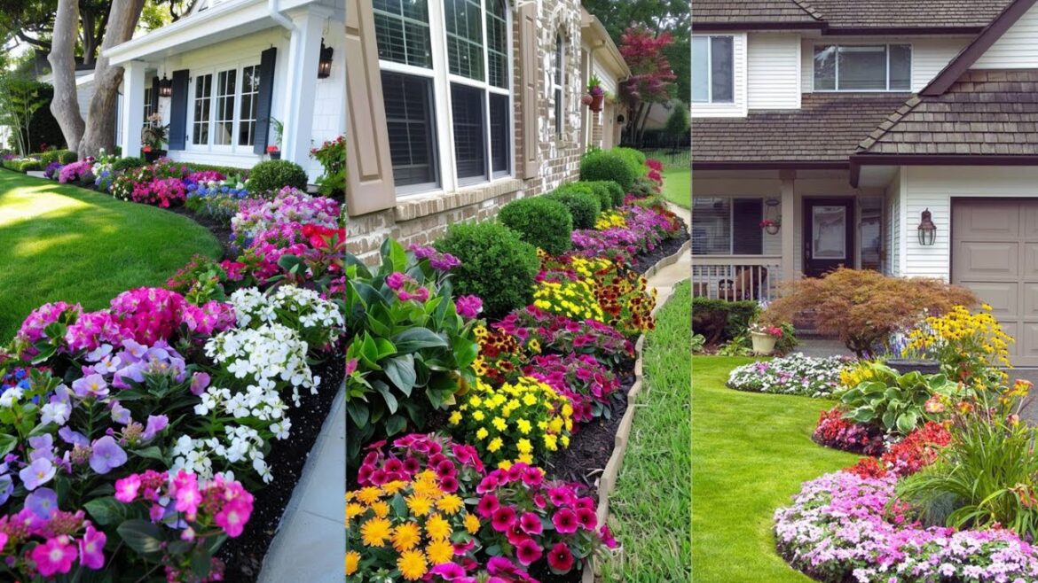 Simple landscaping ideas for front of house | Cheap landscaping ideas for front of house |front yard Simple landscaping ideas for front of house | Cheap landscaping ideas for front of house |front yard