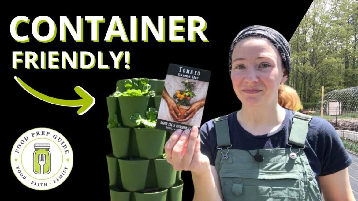 5 Plants for Small-Space Container Gardening | Growing a Snack Bar 5 Plants for Small-Space Container Gardening | Growing a Snack Bar