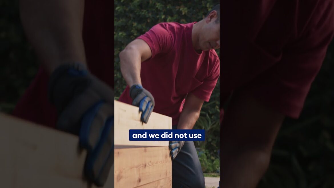 5 Tips to Creating a Garden Bed!