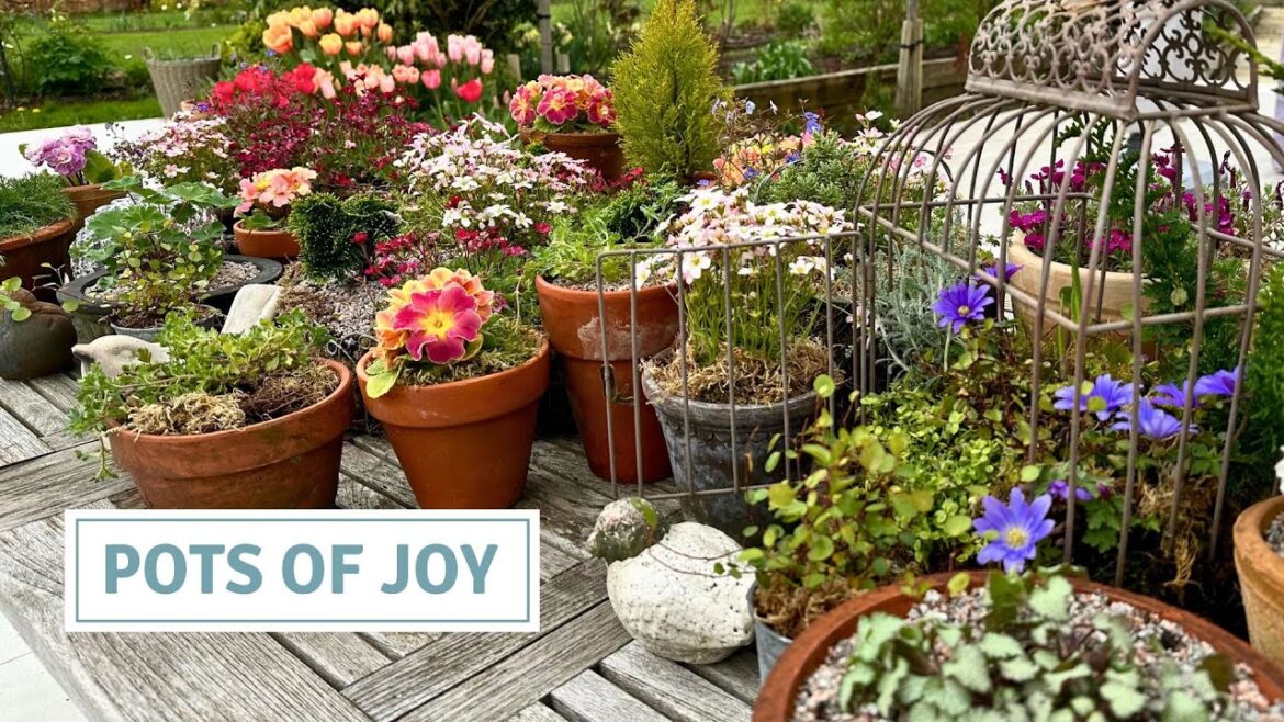 Creating a Spring Garden Tablescape, Patio Décor, Miniature Container Gardening // Cottoverdi