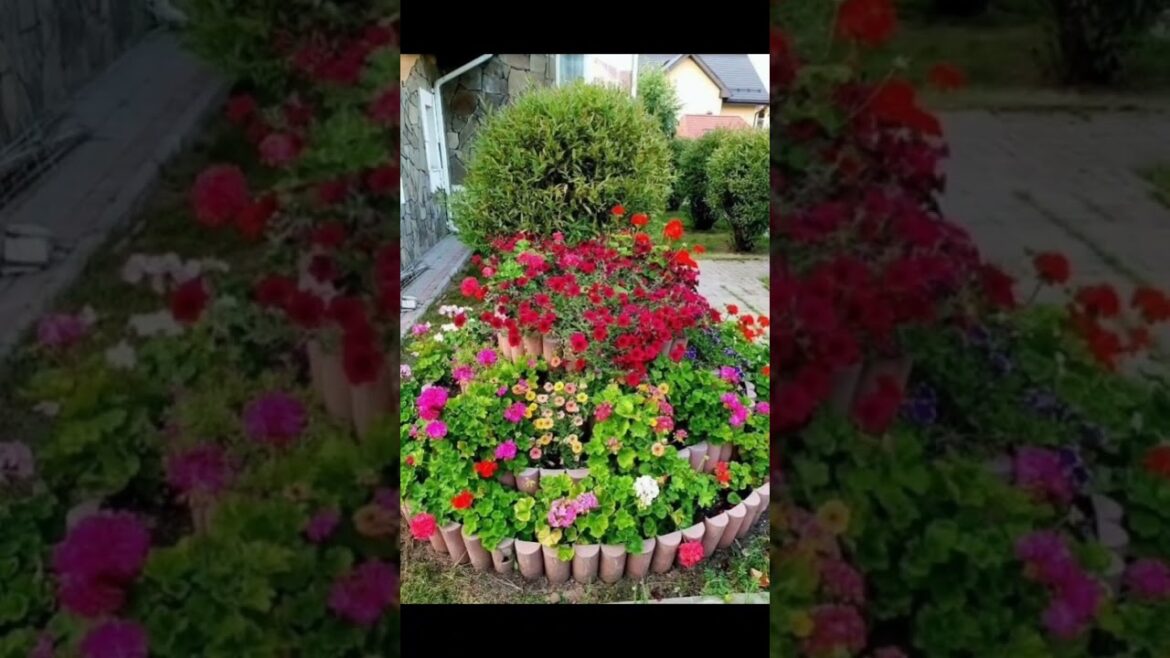 Ideas for small garden design | Small yard landscaping ideas