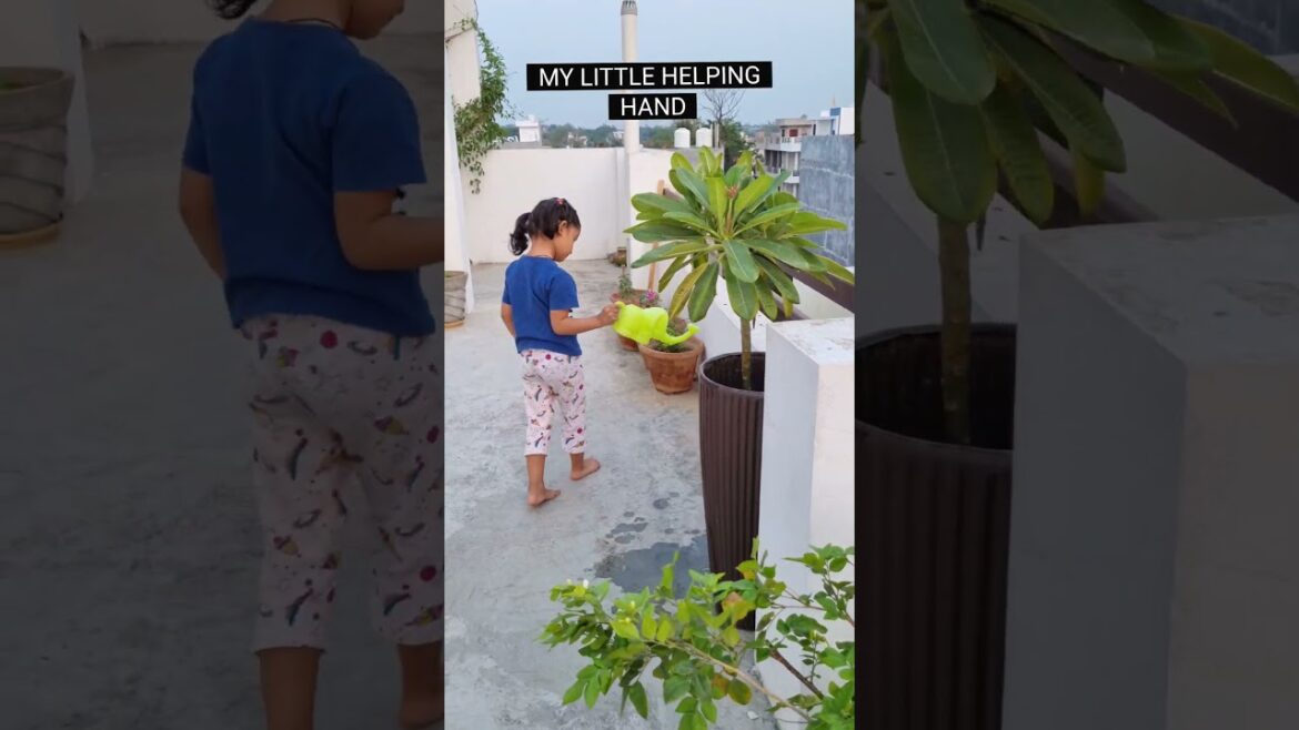 एक शाम mastani | Gardener की शाम #youtubeshorts #gardenshorts #plants #shortvideo #plantslover