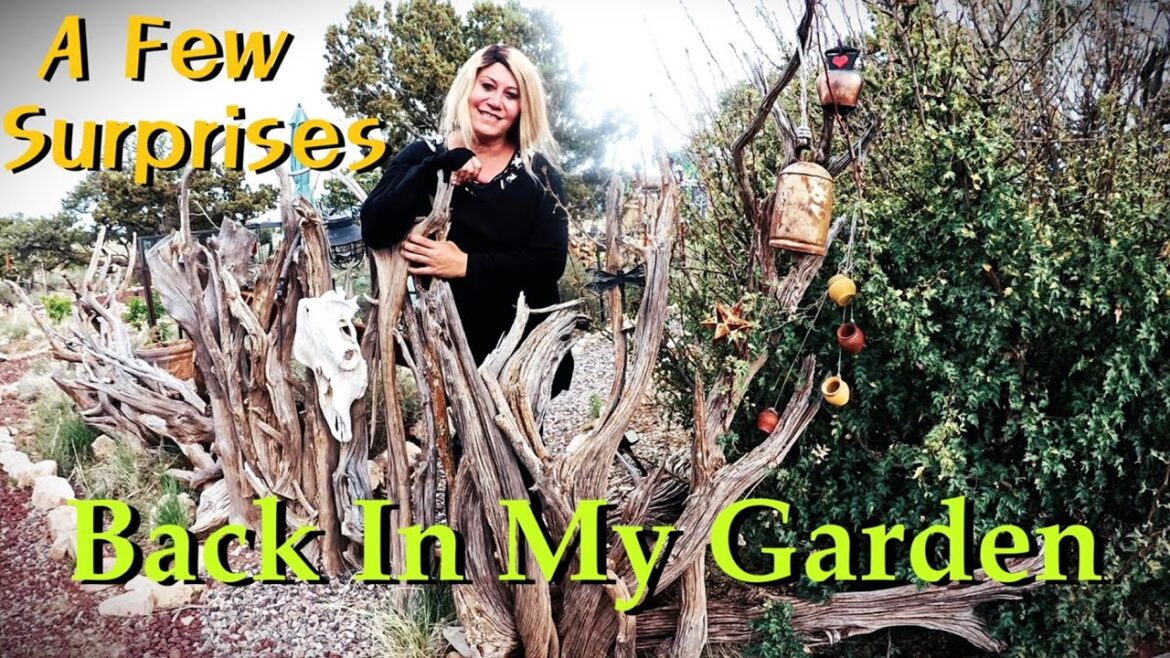 Garden Tour After Being Gone All Winter & Adding New Walking Paths