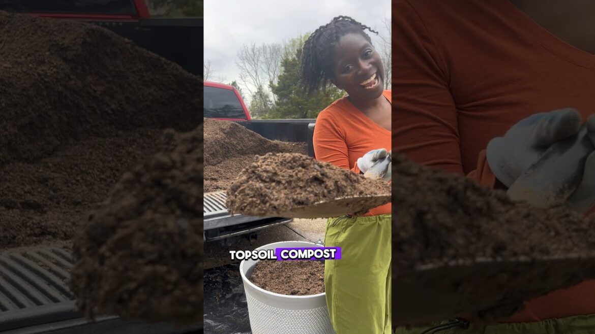 Container Gardening: Tips for Transplanting Seedlings