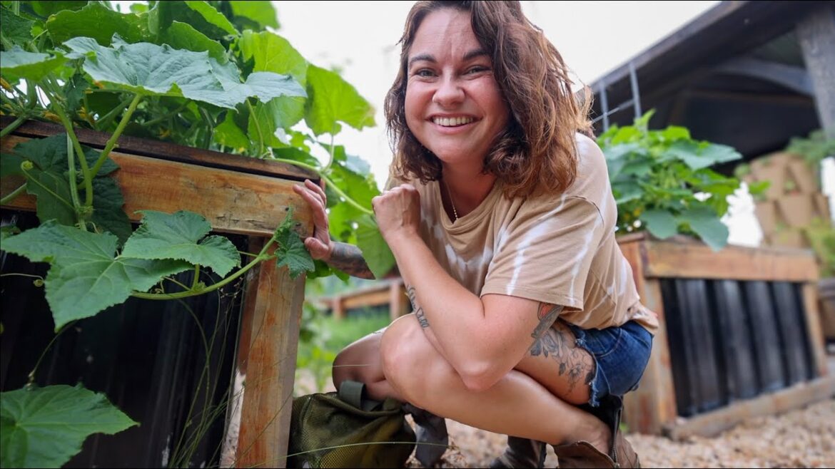 Roots and Refuge Farm: A quick dinner harvest (goat math strikes again) | VLOG A quick dinner harvest (goat math strikes again) | VLOG
