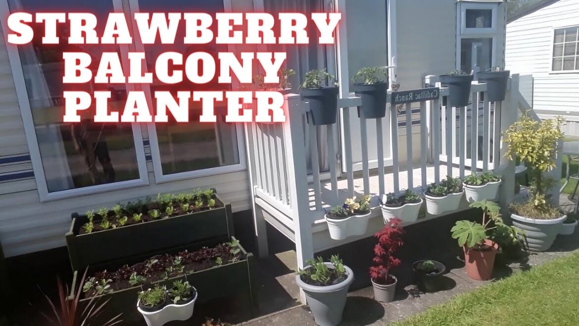 Balcony Strawberry Planter Caravan Container Garden Caravan Life UK