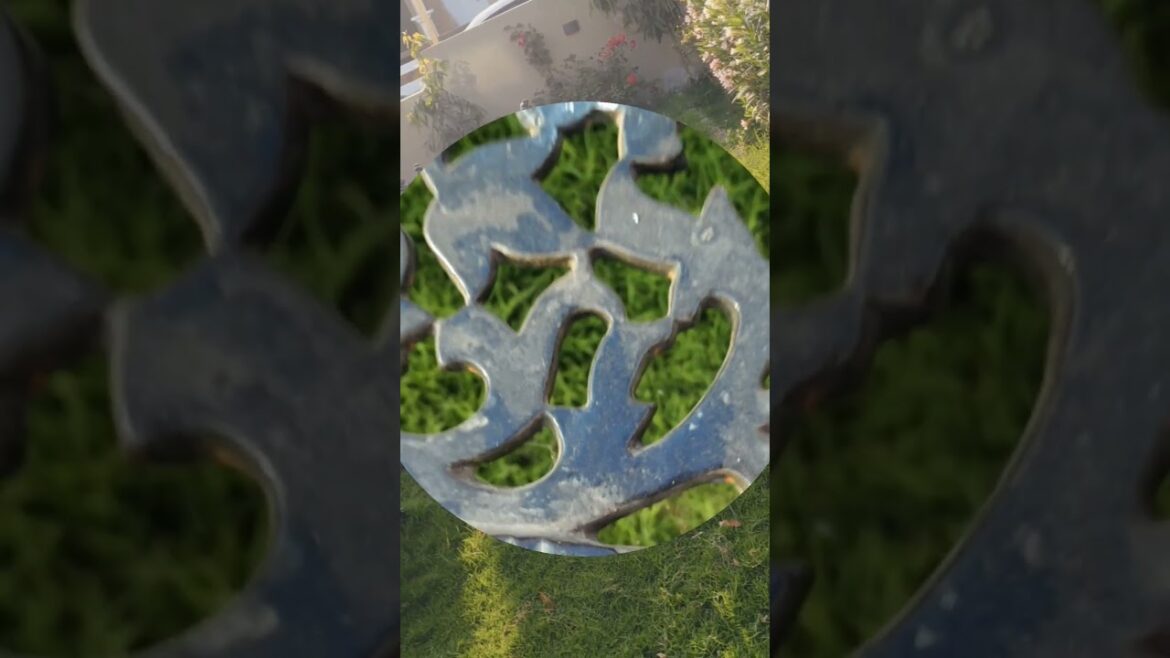 home garden cinematic shots 🏡 #shorts 🖤