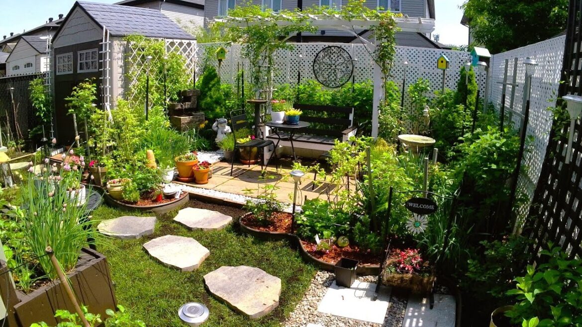 SEE OUR TINY BACKYARD GARDEN Full Garden Tour #garden #gardening #gardentour #plants #flowers #new